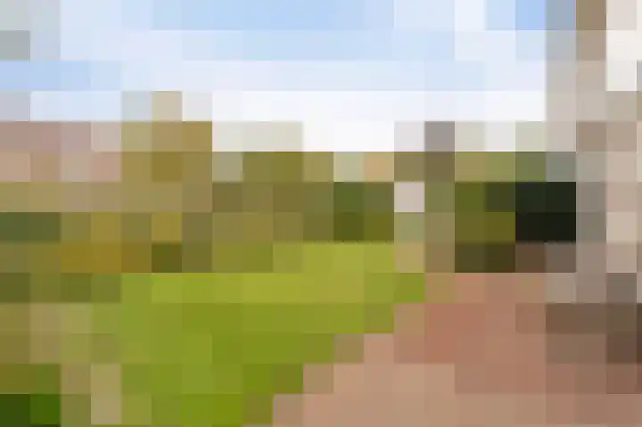 Stellingwerf 11 Emmeloord thumbnail 33