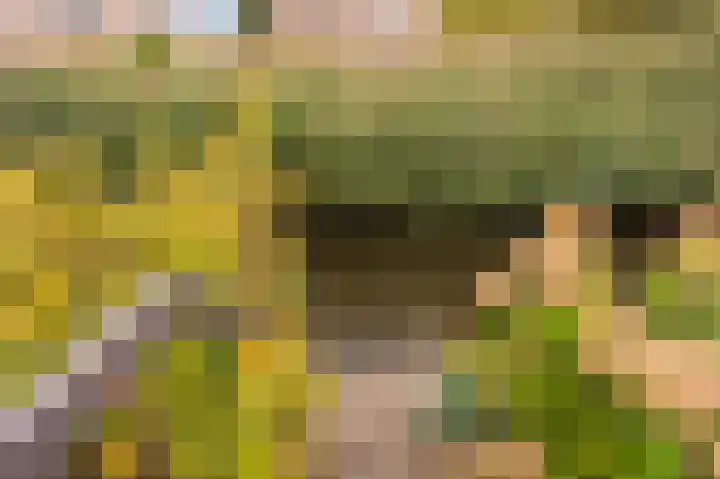 Stellingwerf 11 Emmeloord thumbnail 35