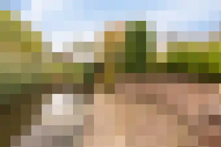 Stellingwerf 11 Emmeloord thumbnail 36