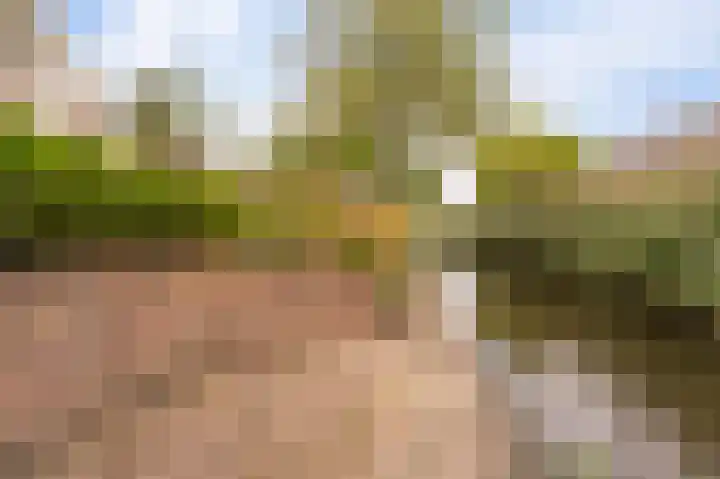 Stellingwerf 11 Emmeloord thumbnail 37