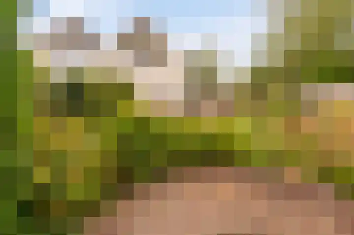 Stellingwerf 11 Emmeloord thumbnail 38