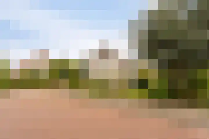 Stellingwerf 11 Emmeloord thumbnail 5