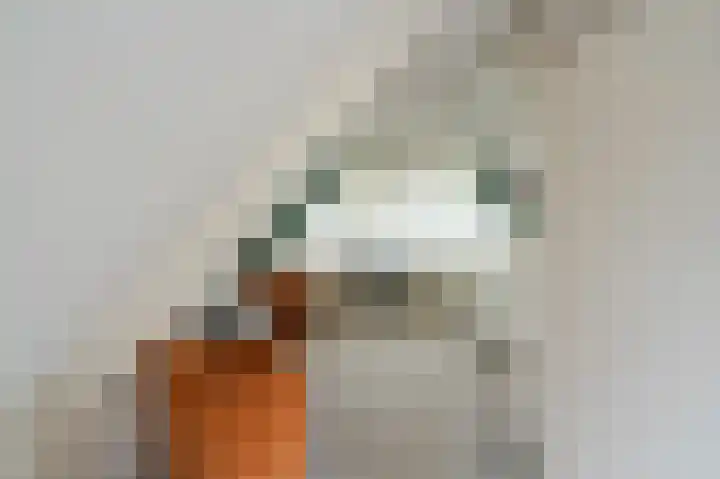 Stellingwerf 11 Emmeloord thumbnail 56