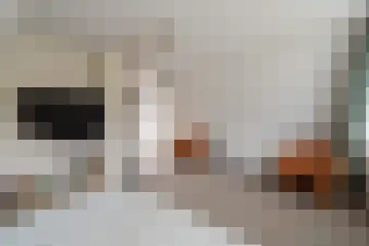 Stellingwerf 11 Emmeloord thumbnail 58