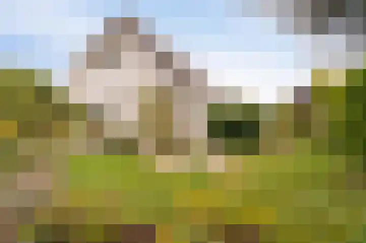 Stellingwerf 11 Emmeloord thumbnail 6