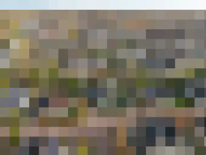 Stellingwerf 11 Emmeloord thumbnail 70