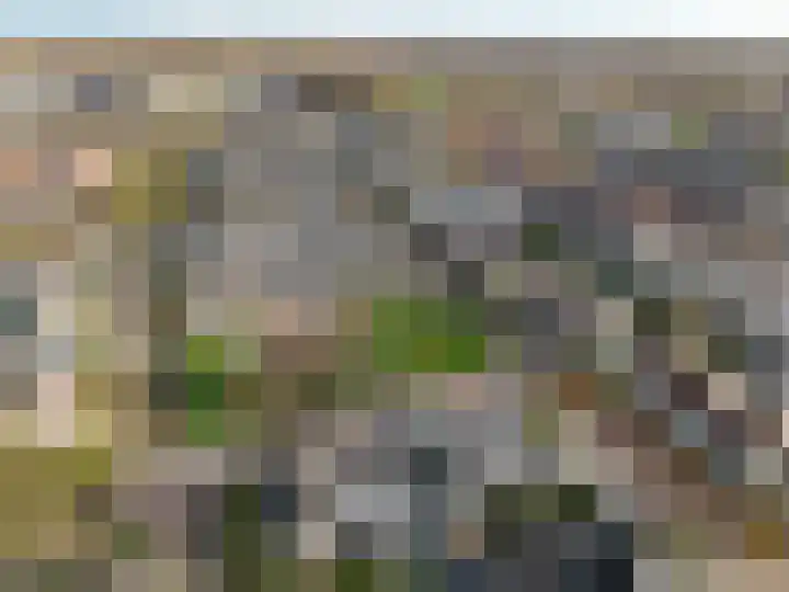 Stellingwerf 11 Emmeloord thumbnail 72