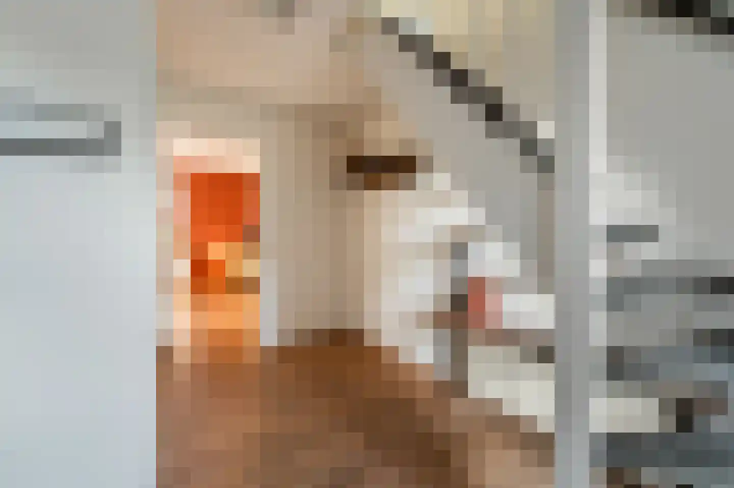 Stellingwerf 15 Emmeloord thumbnail 10