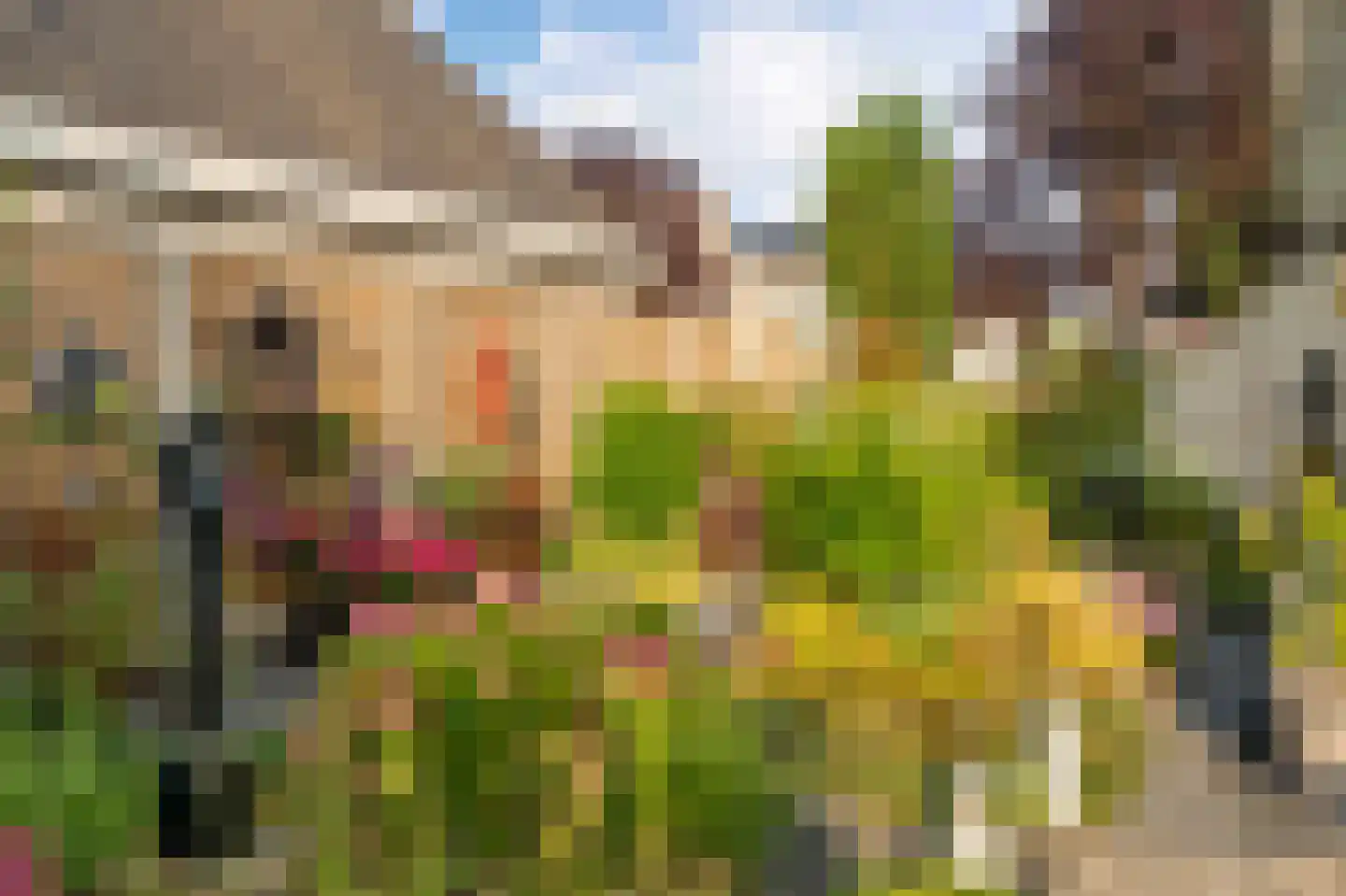 Stellingwerf 15 Emmeloord thumbnail 34