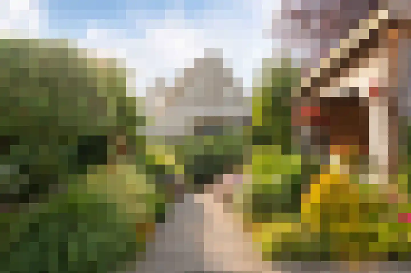 Stellingwerf 15 Emmeloord thumbnail 38