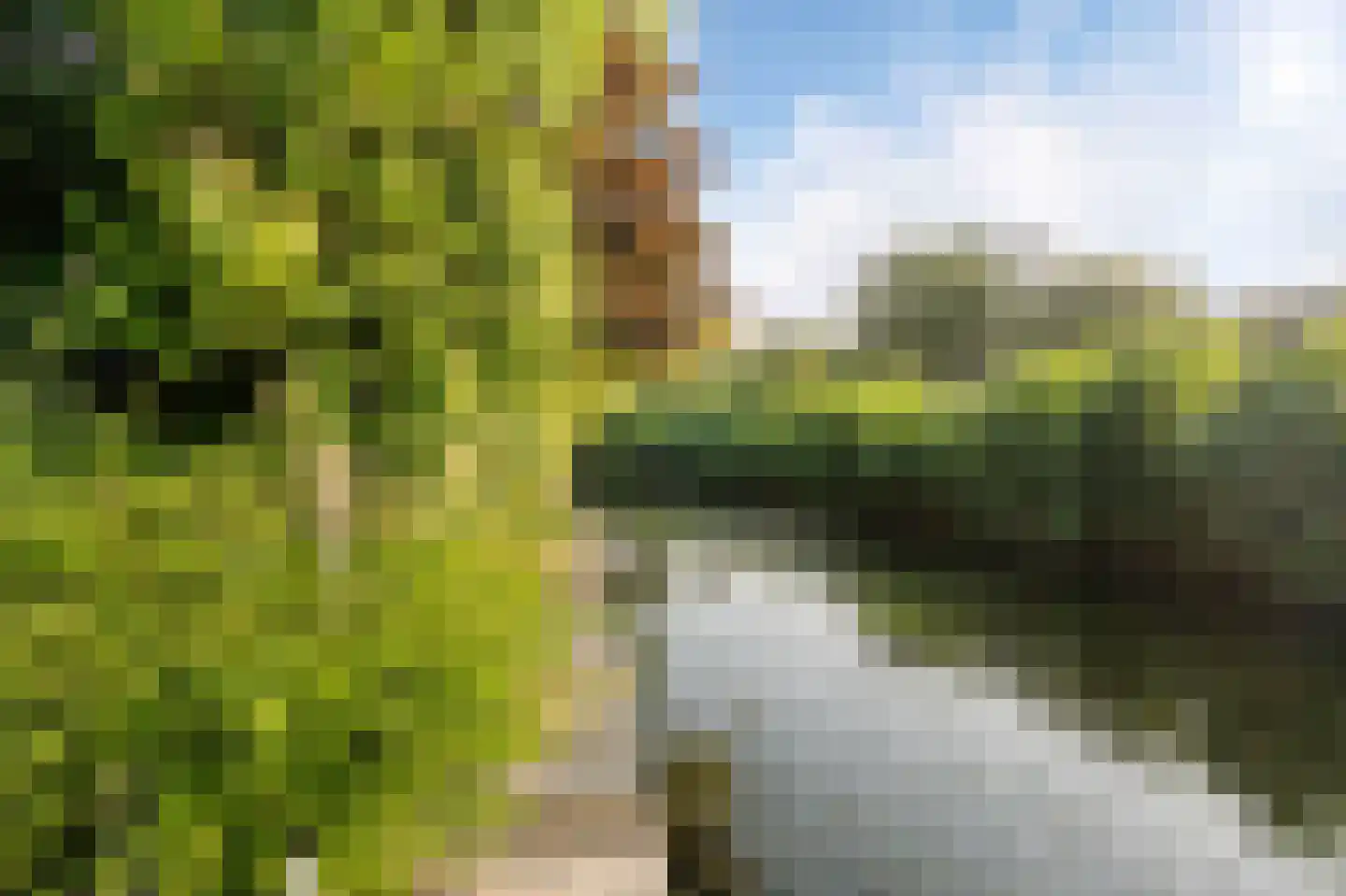 Stellingwerf 15 Emmeloord thumbnail 40