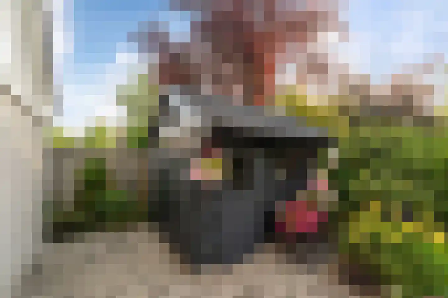Stellingwerf 15 Emmeloord thumbnail 42