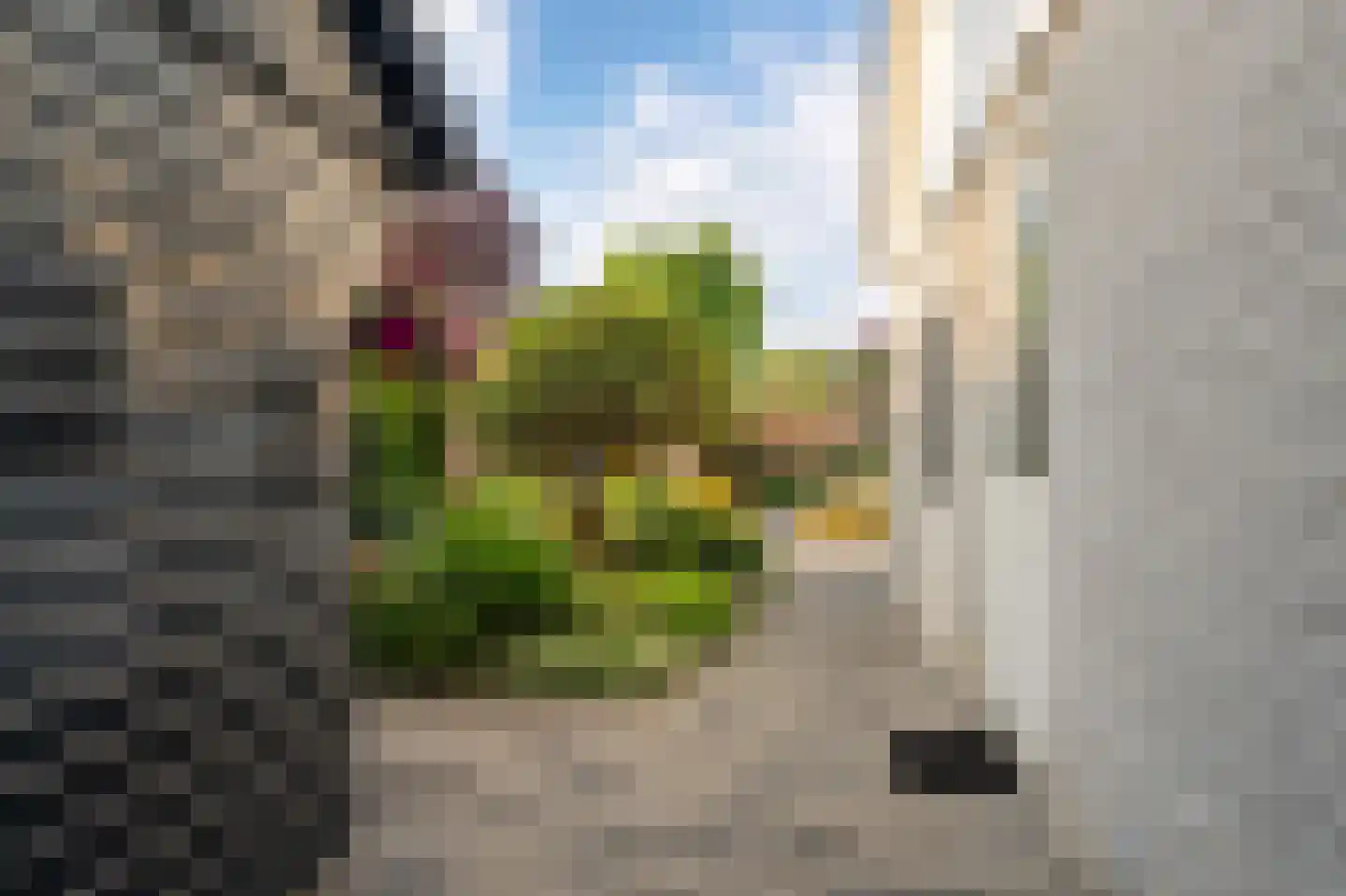 Stellingwerf 15 Emmeloord thumbnail 43