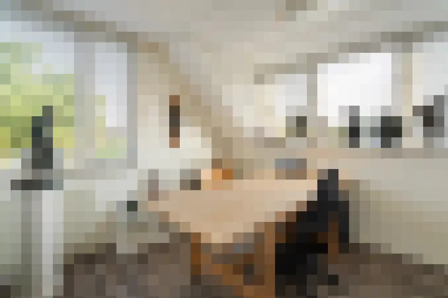 Stellingwerf 15 Emmeloord thumbnail 49