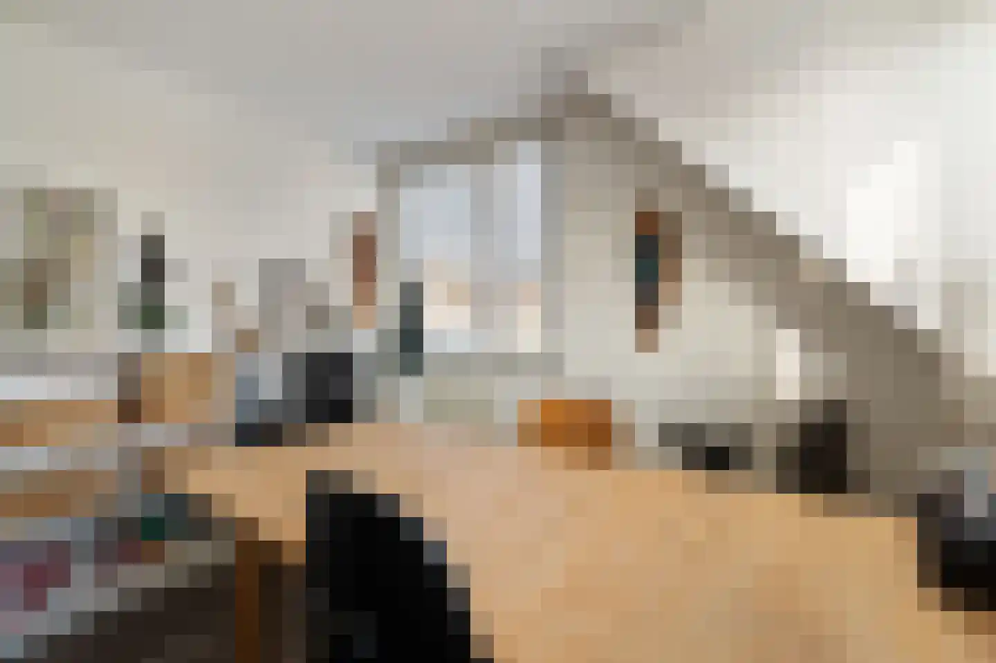 Stellingwerf 15 Emmeloord thumbnail 50