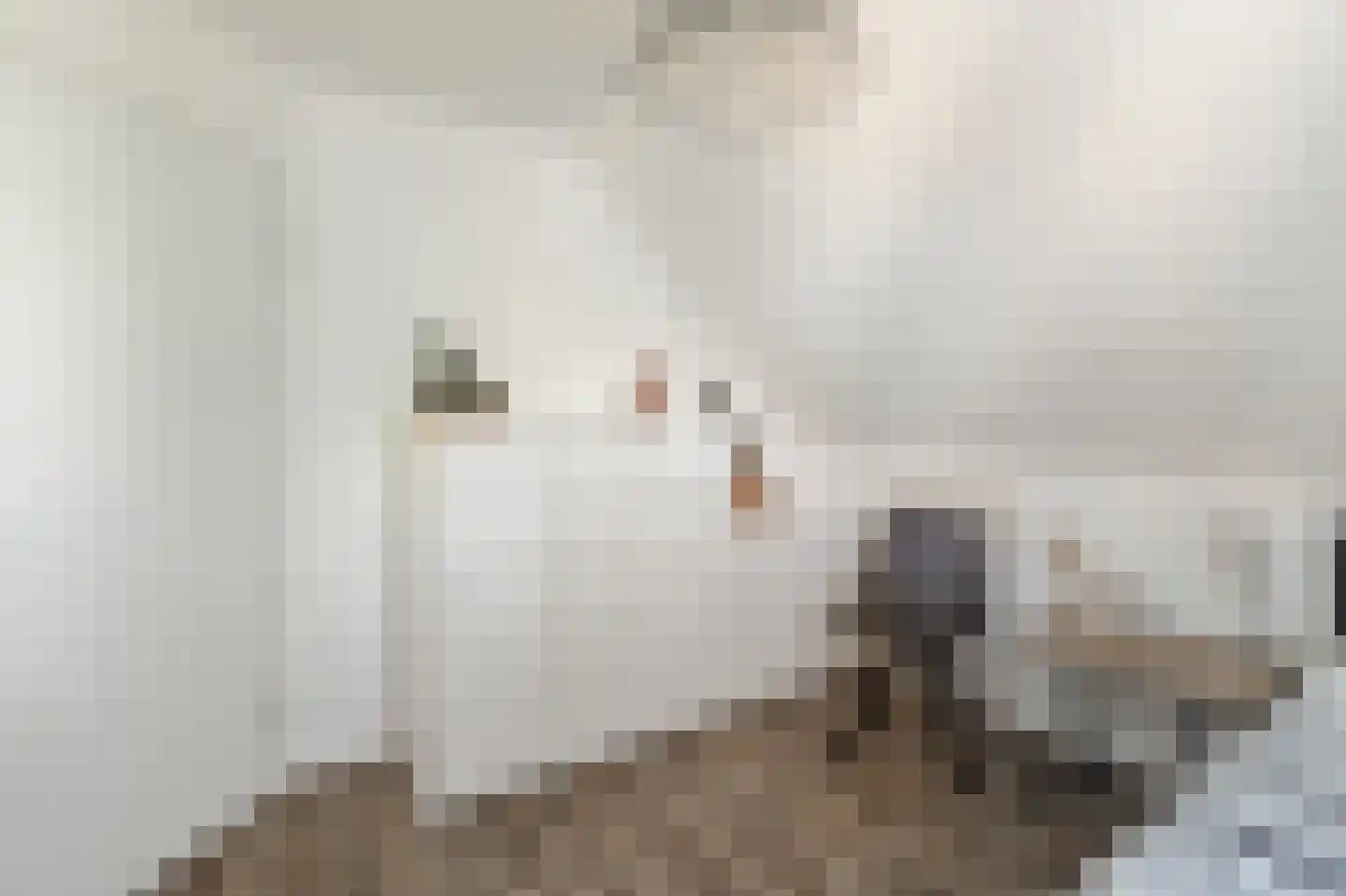 Stellingwerf 15 Emmeloord thumbnail 53