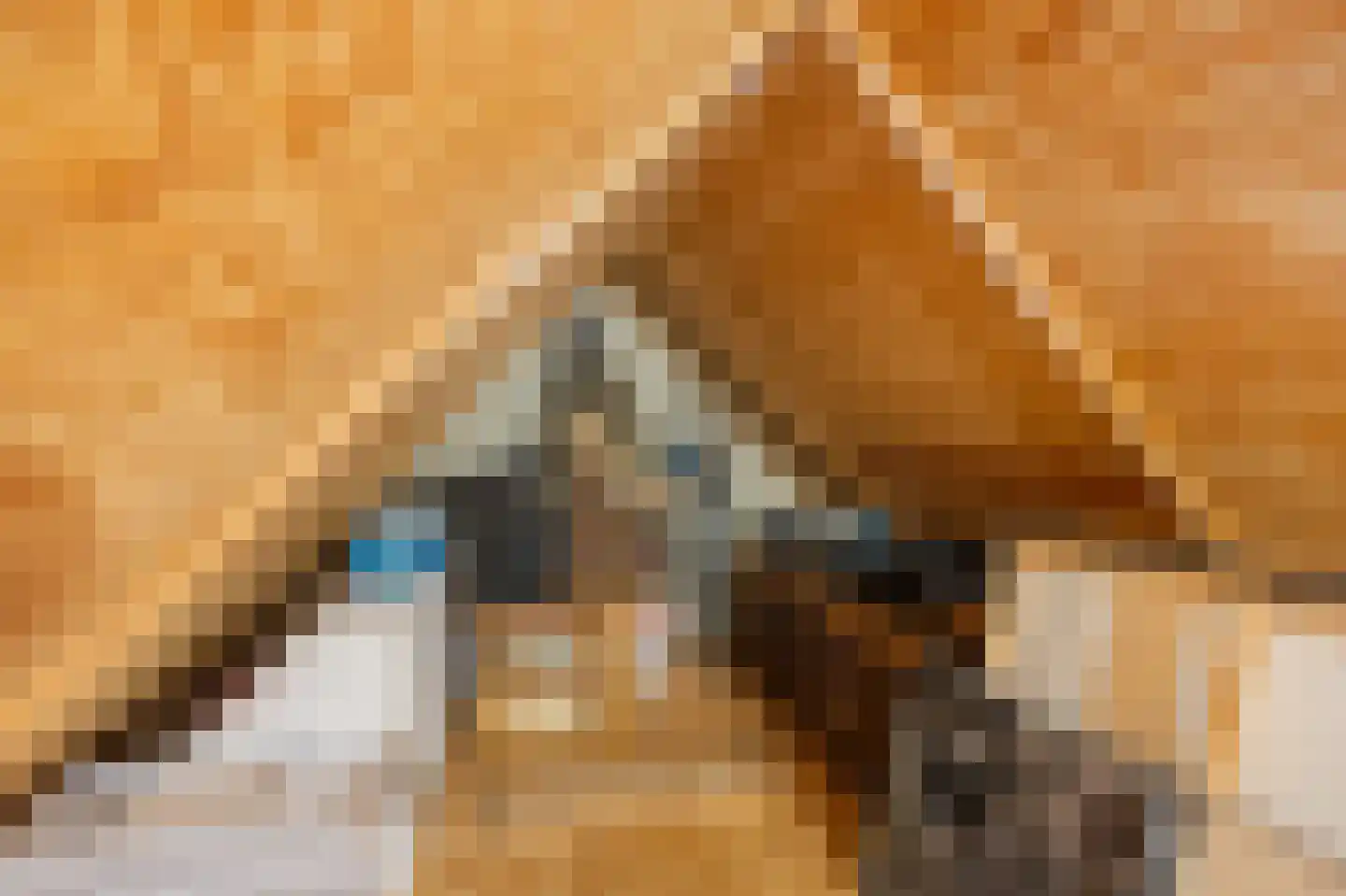 Stellingwerf 15 Emmeloord thumbnail 58