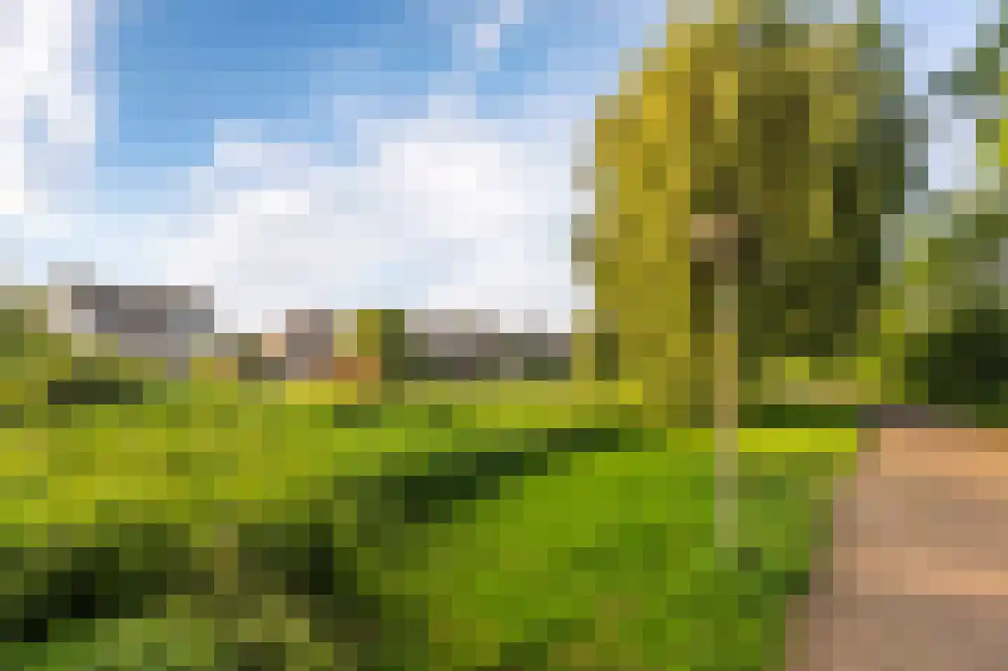 Stellingwerf 15 Emmeloord thumbnail 62