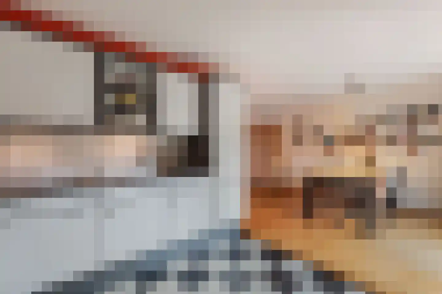 Stellingwerf 2 Emmeloord thumbnail 11