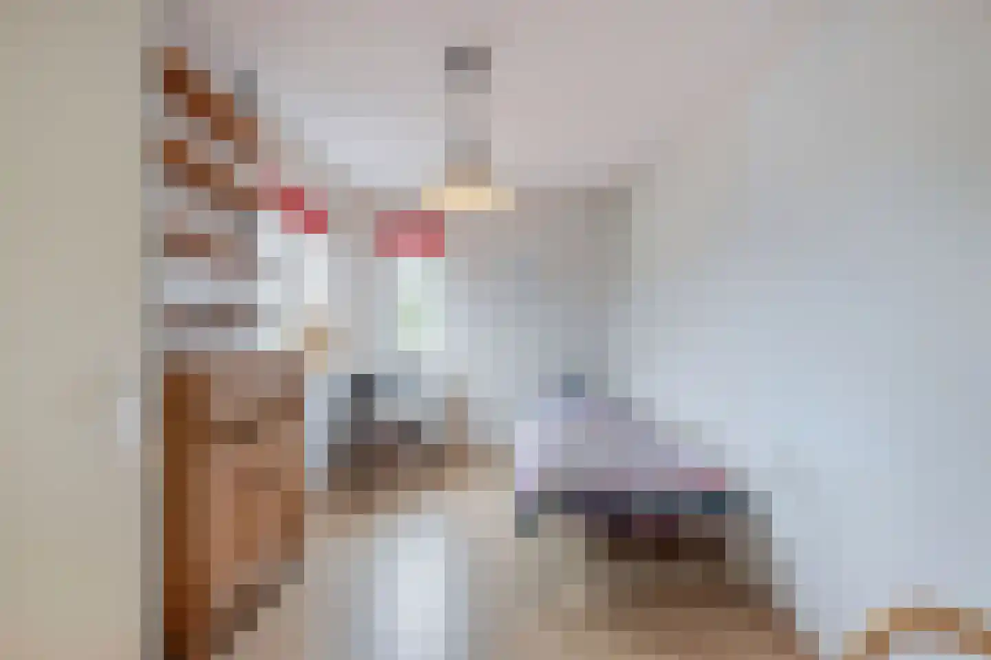 Stellingwerf 2 Emmeloord thumbnail 25