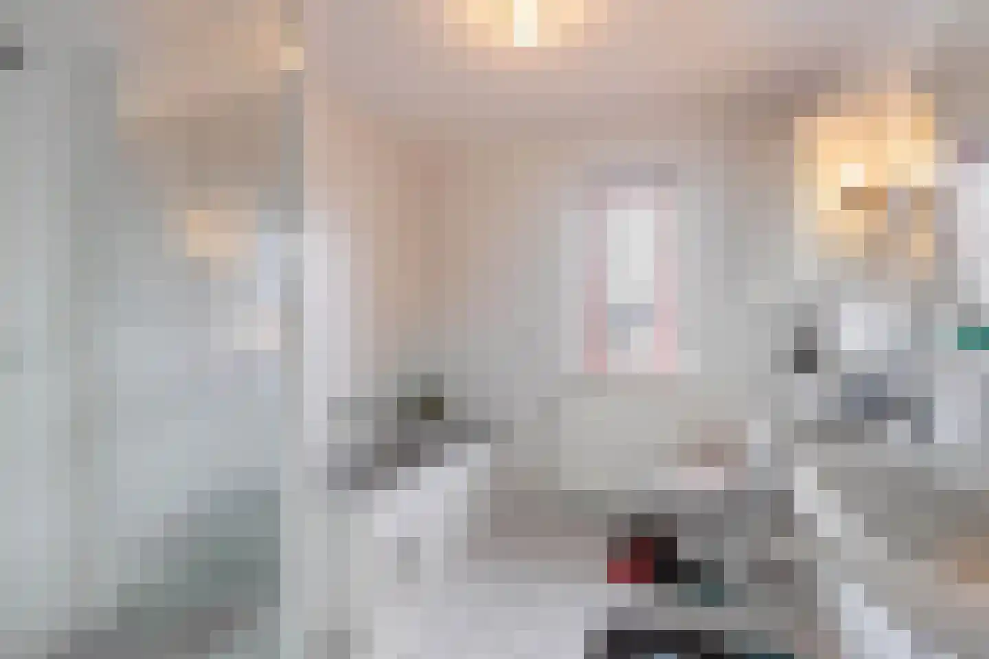 Stellingwerf 2 Emmeloord thumbnail 27