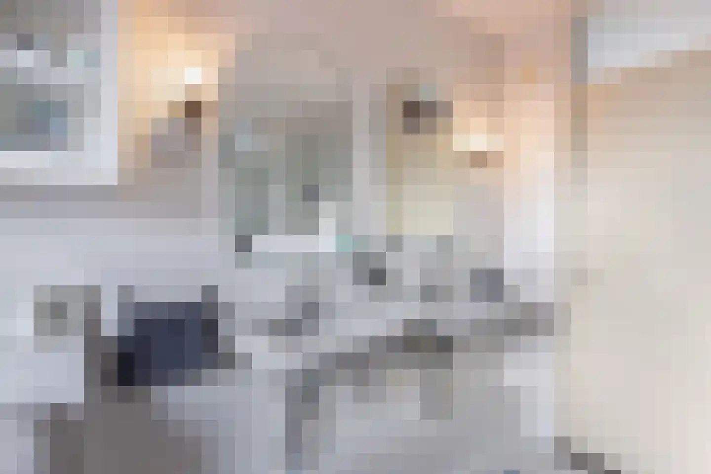 Stellingwerf 2 Emmeloord thumbnail 29