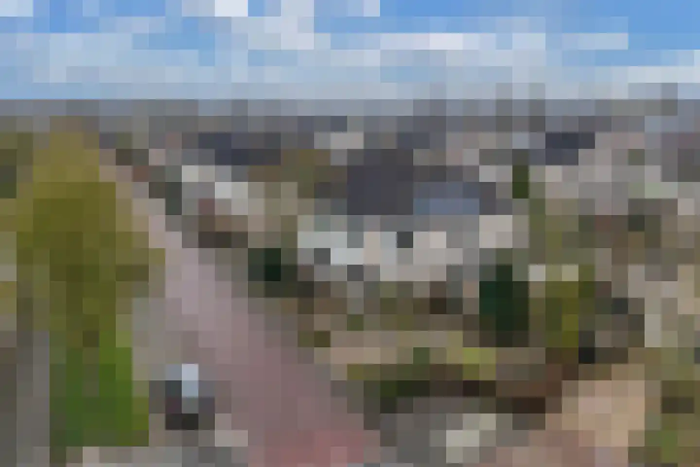Stellingwerf 2 Emmeloord thumbnail 47