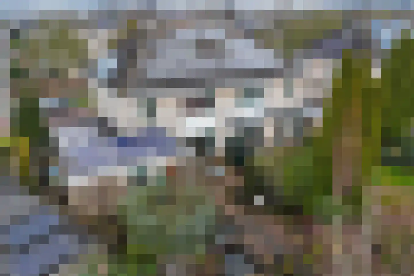 Stellingwerf 2 Emmeloord thumbnail 48