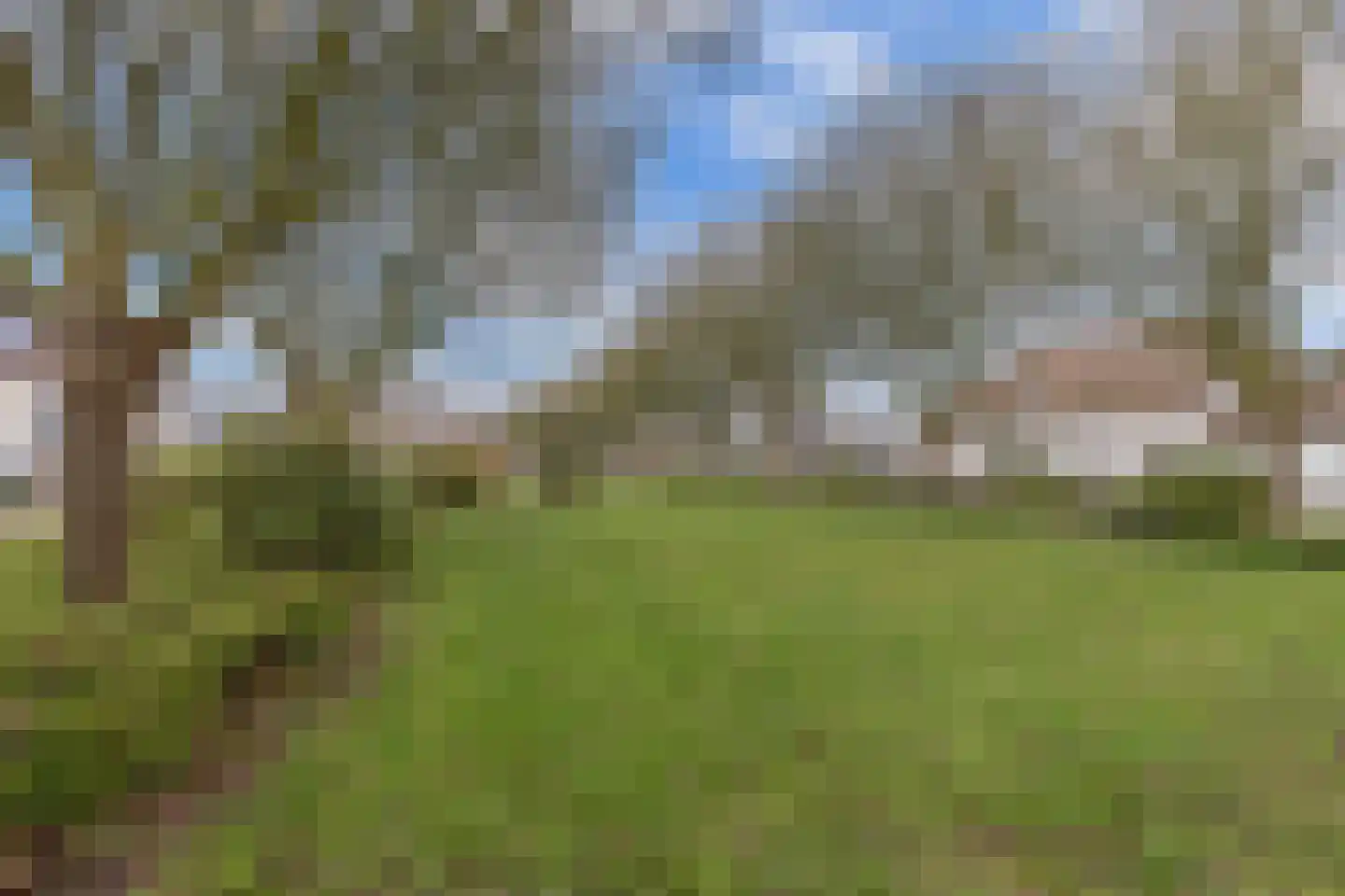 Stellingwerf 2 Emmeloord thumbnail 51