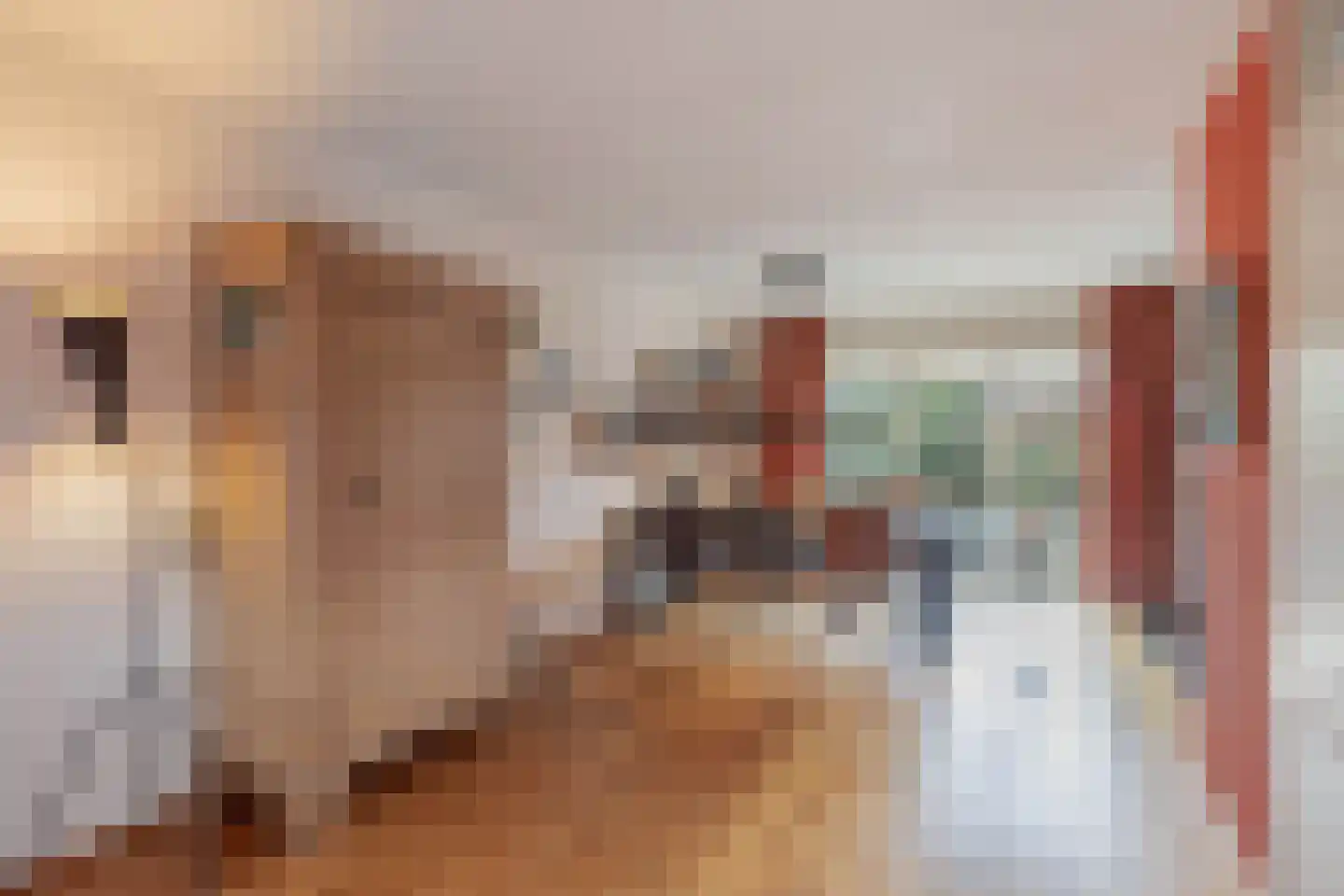 Stellingwerf 2 Emmeloord thumbnail 8