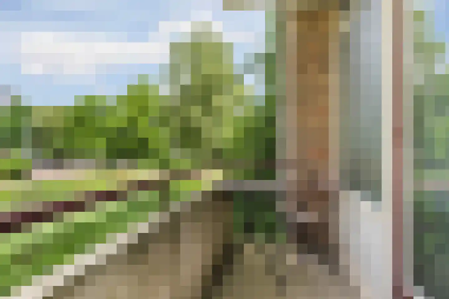 Stellingwerfstraat 65 1 Arnhem thumbnail 15