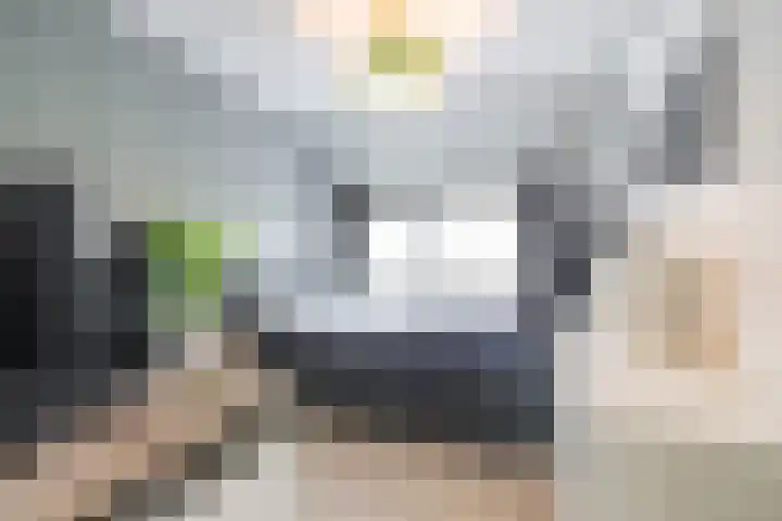 Stelmaker 21 Peize thumbnail 17