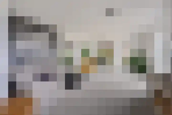 Stelmaker 30 Stadskanaal thumbnail 19