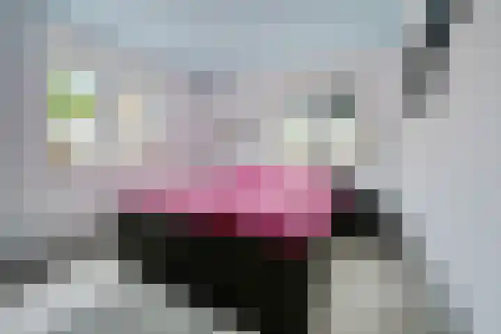 Stelmaker 30 Stadskanaal thumbnail 35