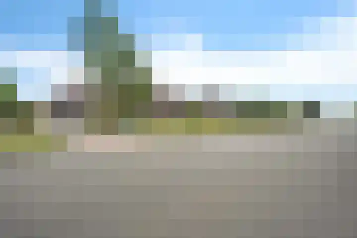 Stelmaker 30 Stadskanaal thumbnail 6