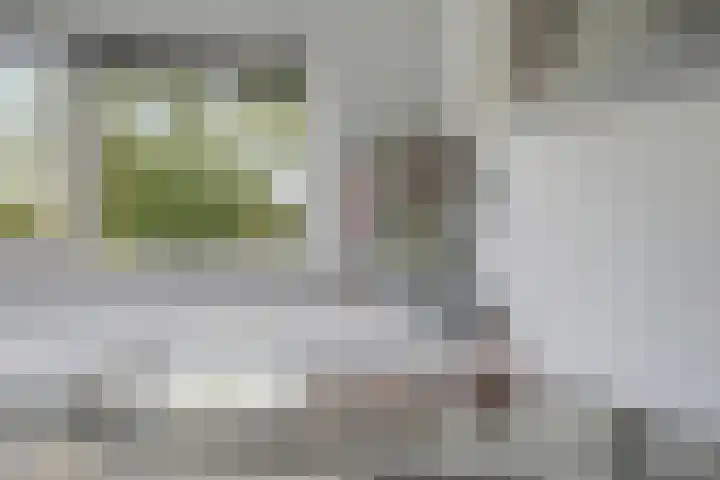 Stelmaker 35 Peize thumbnail 25