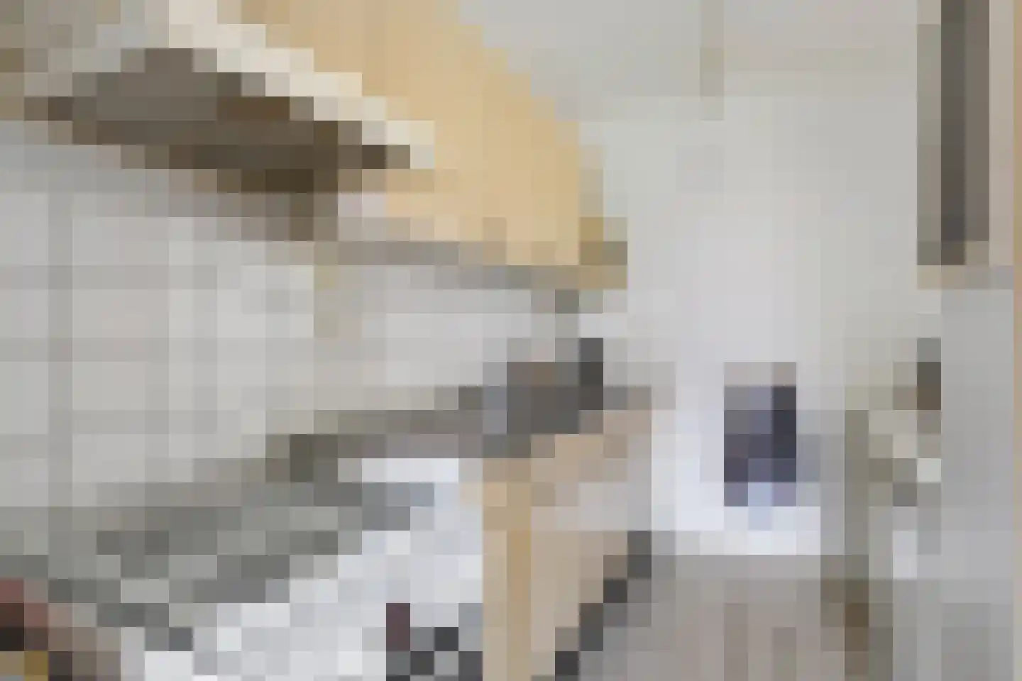 Stelmakerij 11 Winsum thumbnail 13