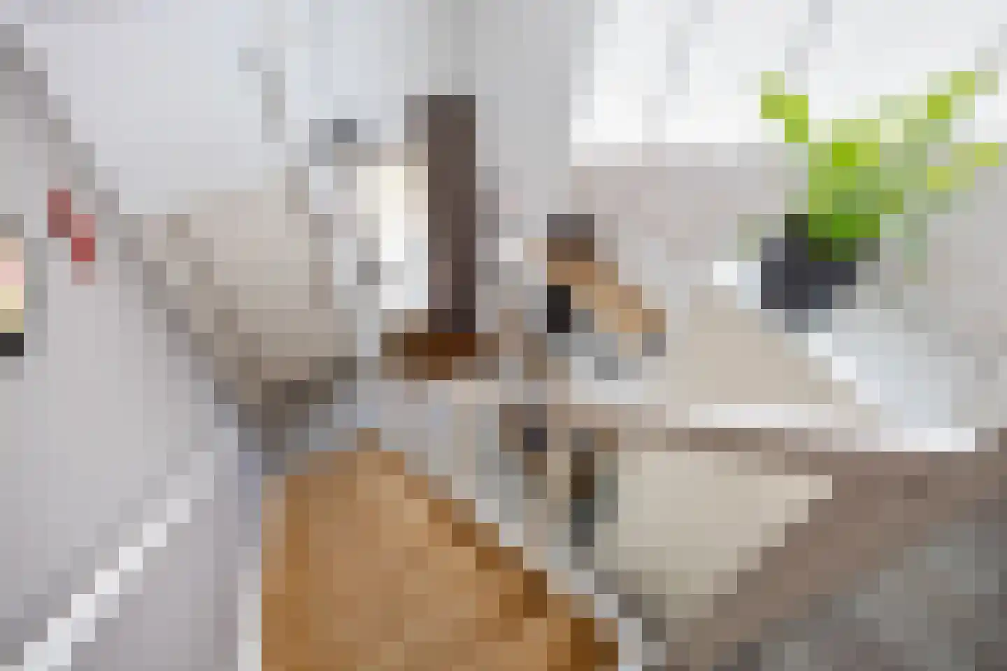Stelmakerij 11 Winsum thumbnail 17