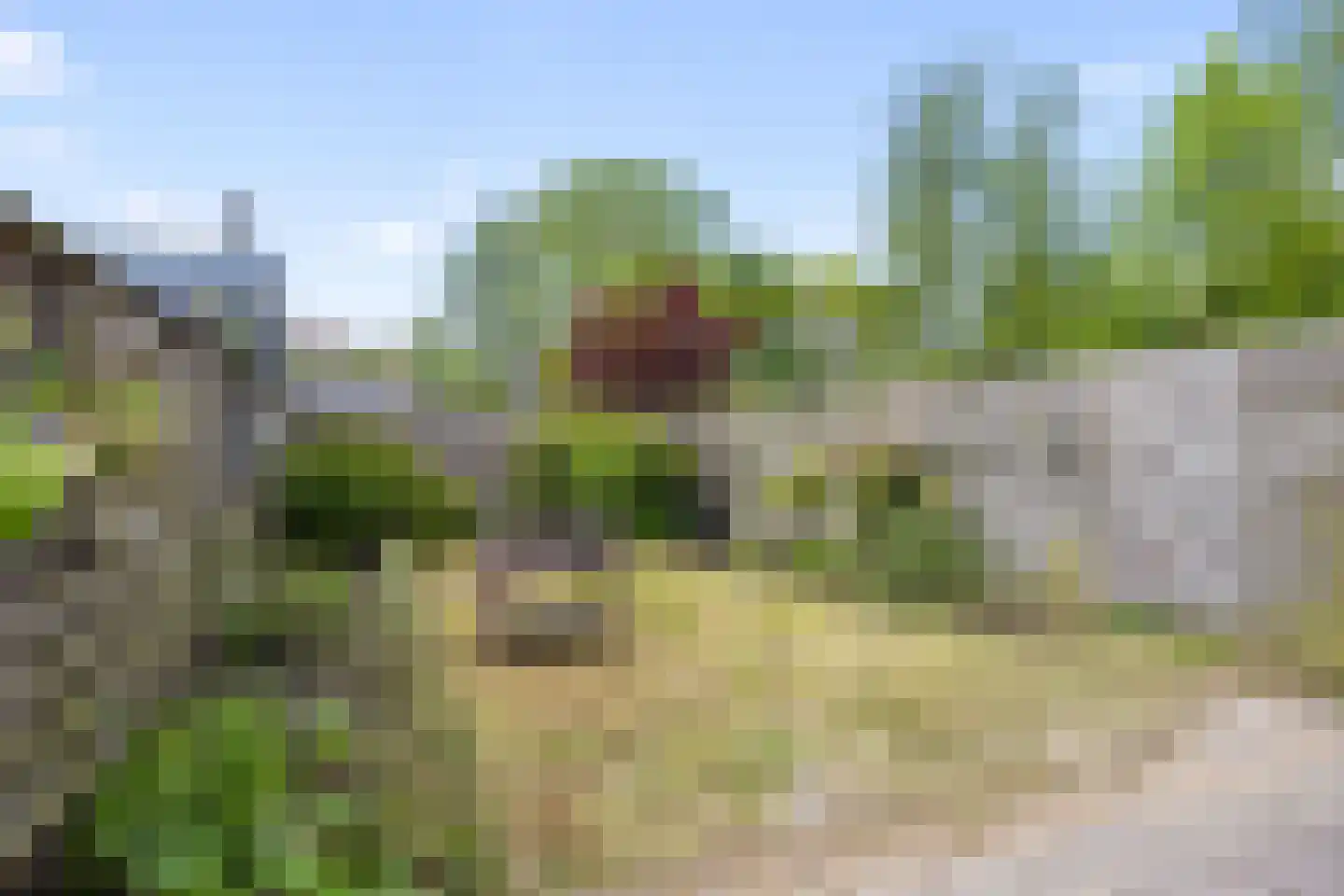 Stelmakerij 11 Winsum thumbnail 24