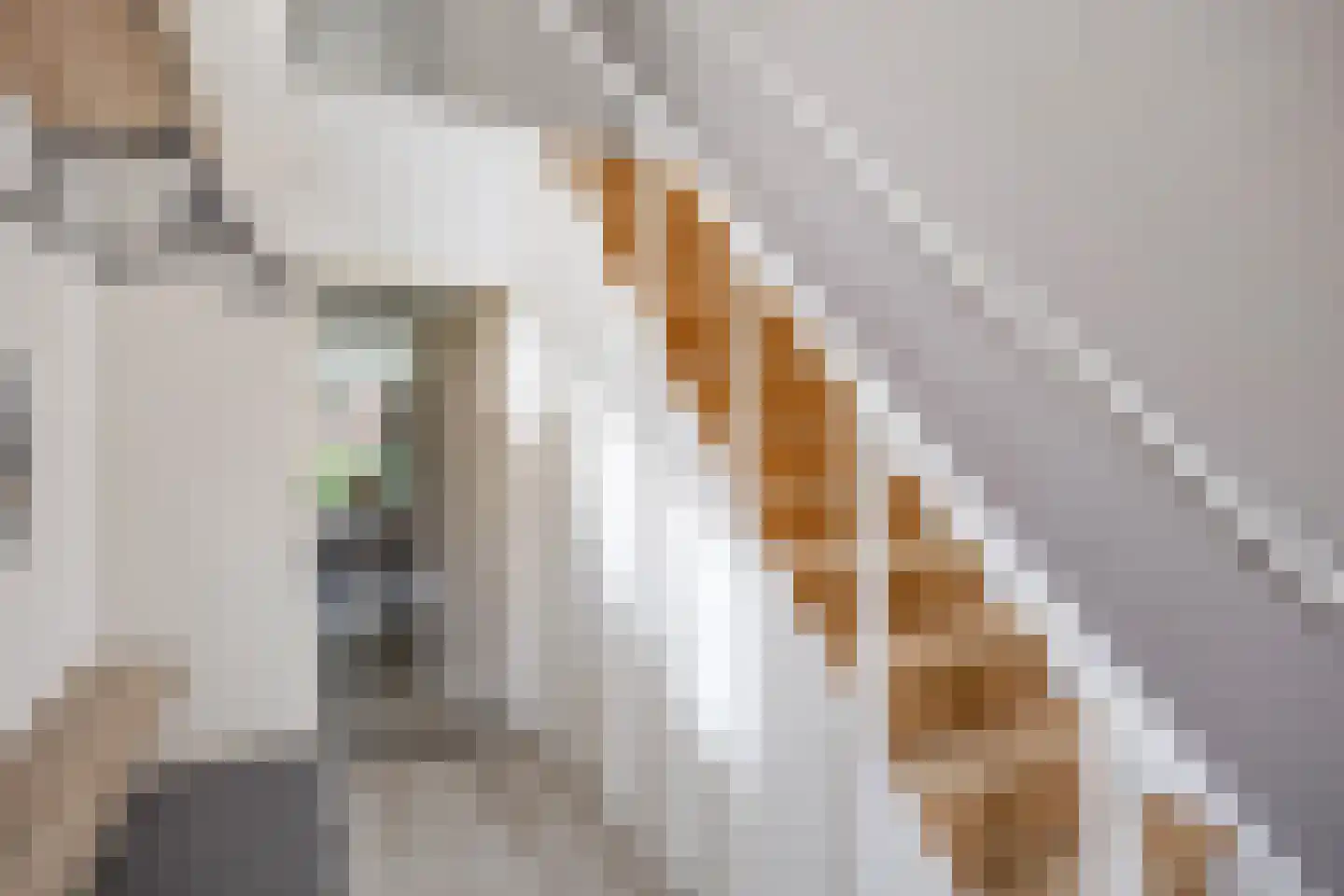 Stelmakerij 11 Winsum thumbnail 6
