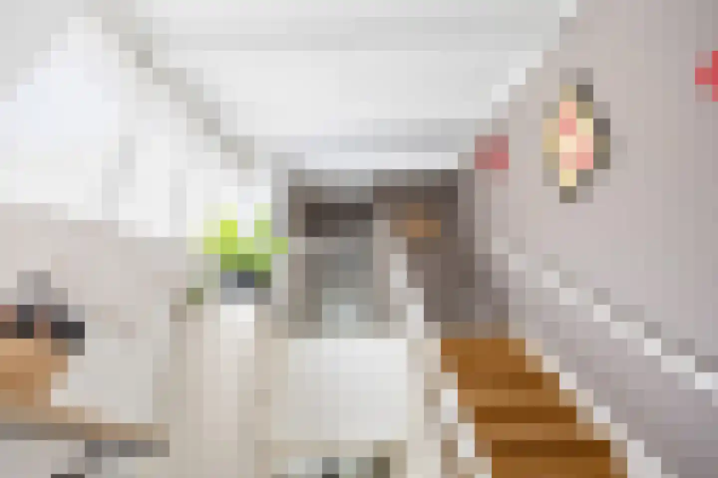 Stelmakerij 11 Winsum thumbnail 8