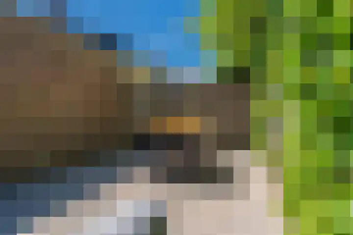 Stelmakerij 3 Delfzijl thumbnail 15