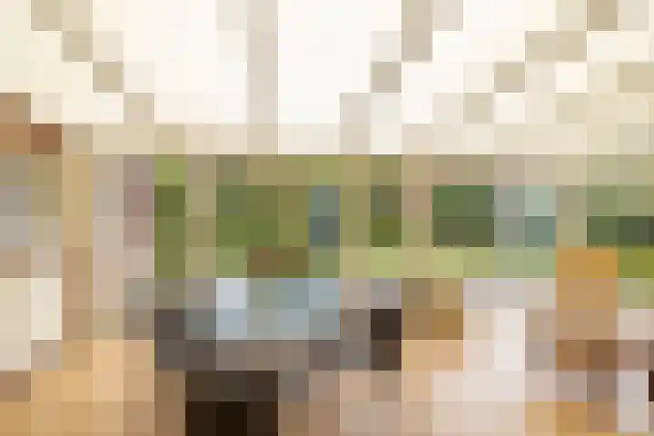 Stelmakerij 59 Delfzijl thumbnail 15