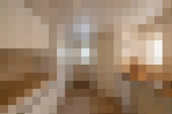 Stelmakerij 59 Delfzijl thumbnail 22