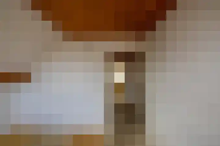 Stelmakerij 59 Delfzijl thumbnail 27