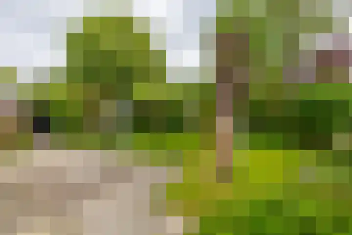 Stelmakerij 59 Delfzijl thumbnail 36