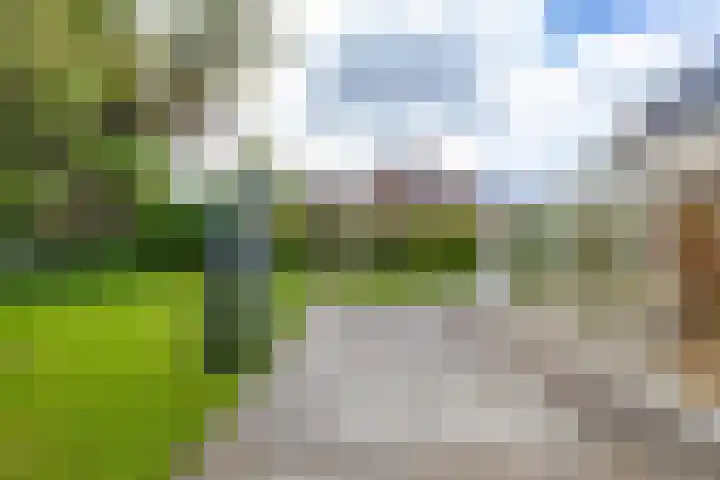 Stelmakerij 59 Delfzijl thumbnail 37