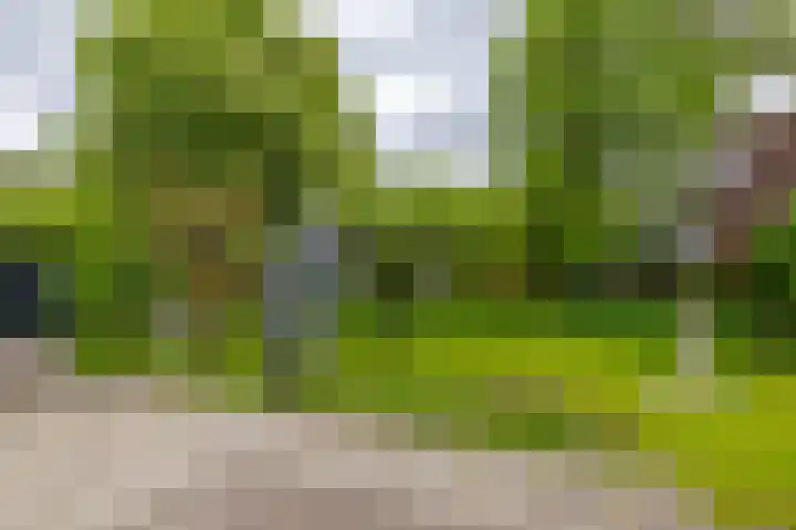 Stelmakerij 59 Delfzijl thumbnail 38