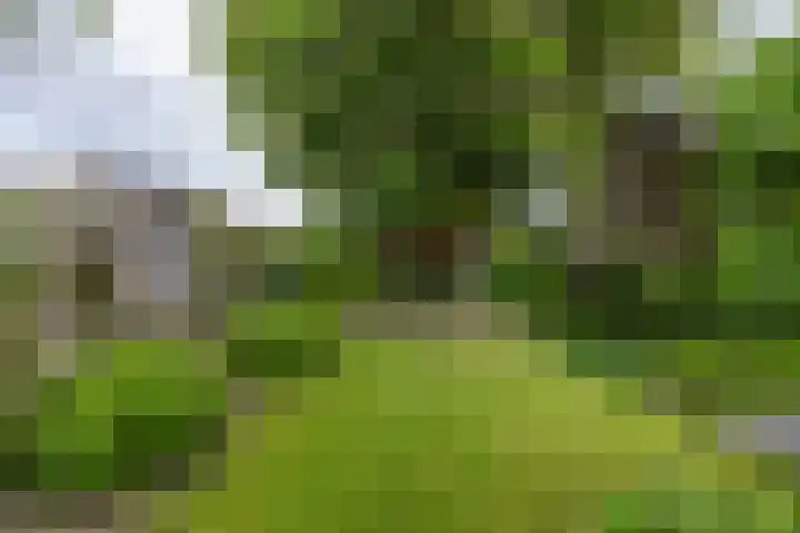 Stelmakerij 59 Delfzijl thumbnail 39