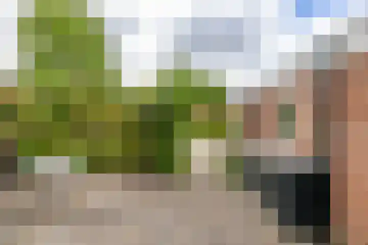 Stelmakerij 59 Delfzijl thumbnail 40